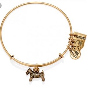 Gold dog Alex and Ani bangle